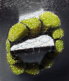 weimerweber002014.jpg