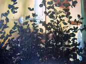weimerweber100009.jpg